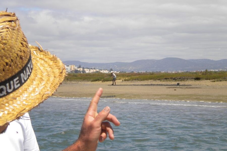 Faro: Ria Formosa Lagoon Small Boat Tour with Local Guide - Who should book this Faro boat tour?