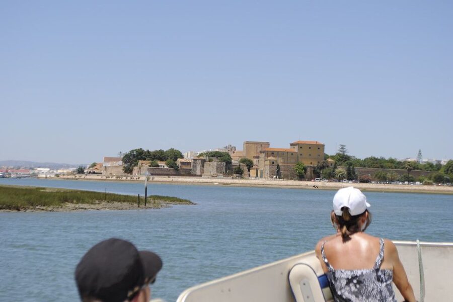 Faro: Ria Formosa Lagoon Small Boat Tour with Local Guide - Leaving the marina on a comfortable pontoon
