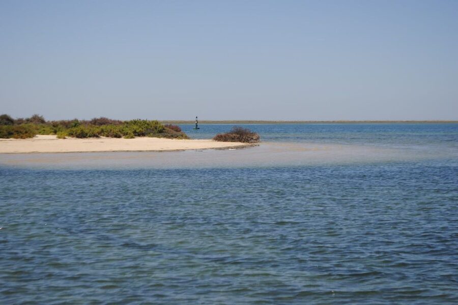 Faro: Ria Formosa Lagoon Small Boat Tour with Local Guide - Local guides make the short route worthwhile