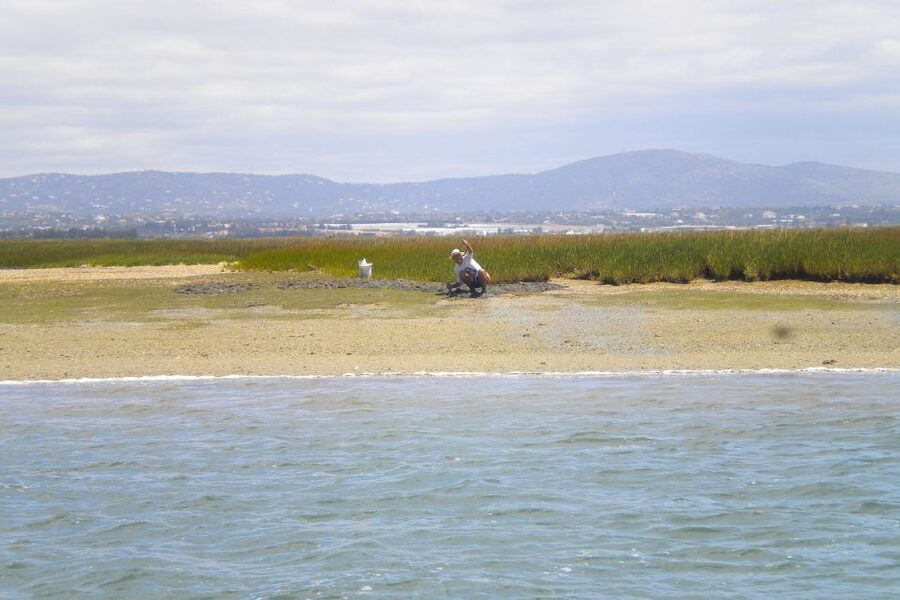 Faro: Ria Formosa Lagoon Small Boat Tour with Local Guide - The best times and conditions for the ride