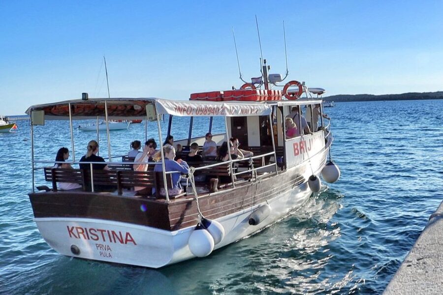 Fazana: Guided Dolphin Watching Sightseeing Cruise at Sunset - Key points to know before booking