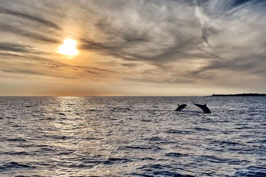 Fazana: Guided Dolphin Watching Sightseeing Cruise at Sunset - Leaving Fazana on the Kristina