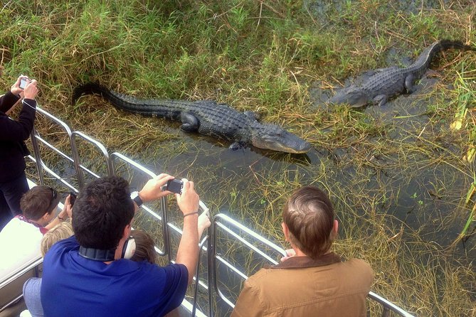 Florida Everglades Airboat Tour and Wild Florida Admission with Optional Lunch - When weather changes the experience