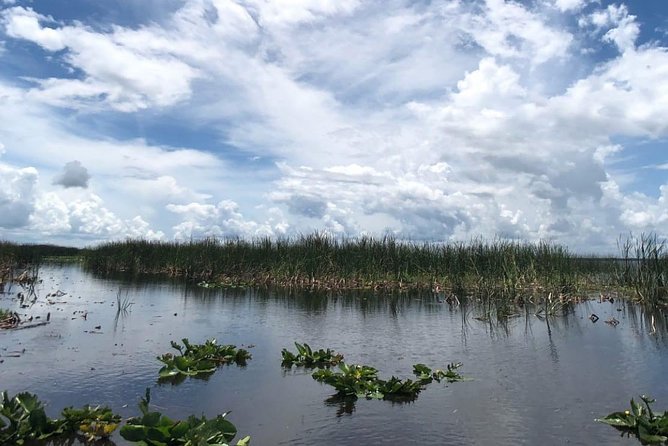 Florida Everglades Airboat Tour and Wild Florida Admission with Optional Lunch - Booking, timing, and cancellation details