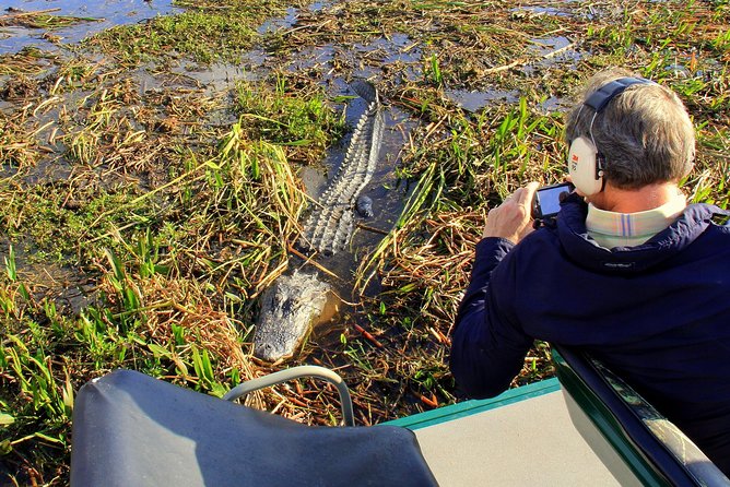Florida Everglades Airboat Tour and Wild Florida Admission with Optional Lunch - What you may see in the wetlands