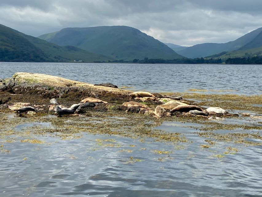 Fort William: Seal Island Boat Tour - Who will enjoy this cruise most?