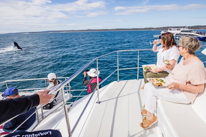 Freedom 3/4 Day Hervey Bay Premium Whale Watching Cruise - Key things to know before you book