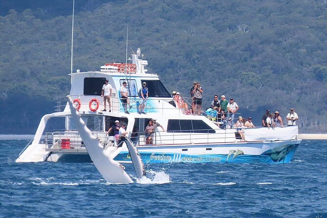 Freedom 3/4 Day Hervey Bay Premium Whale Watching Cruise - Morning tea on the way to Platypus Bay