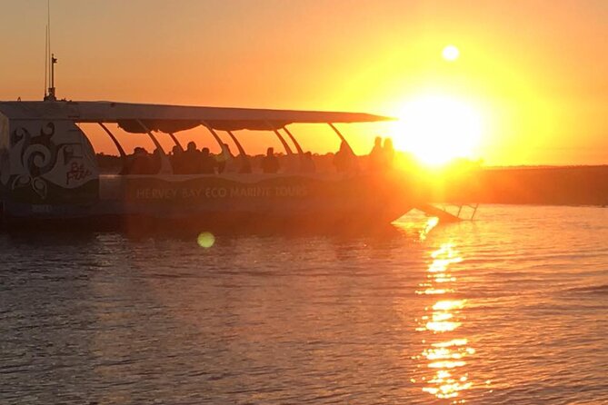 Freedom 3/4 Day Hervey Bay Premium Whale Watching Cruise - The return trip and afternoon tea