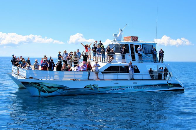 Freedom 3/4 Day Hervey Bay Premium Whale Watching Cruise - Starting at Great Sandy Strait Marina