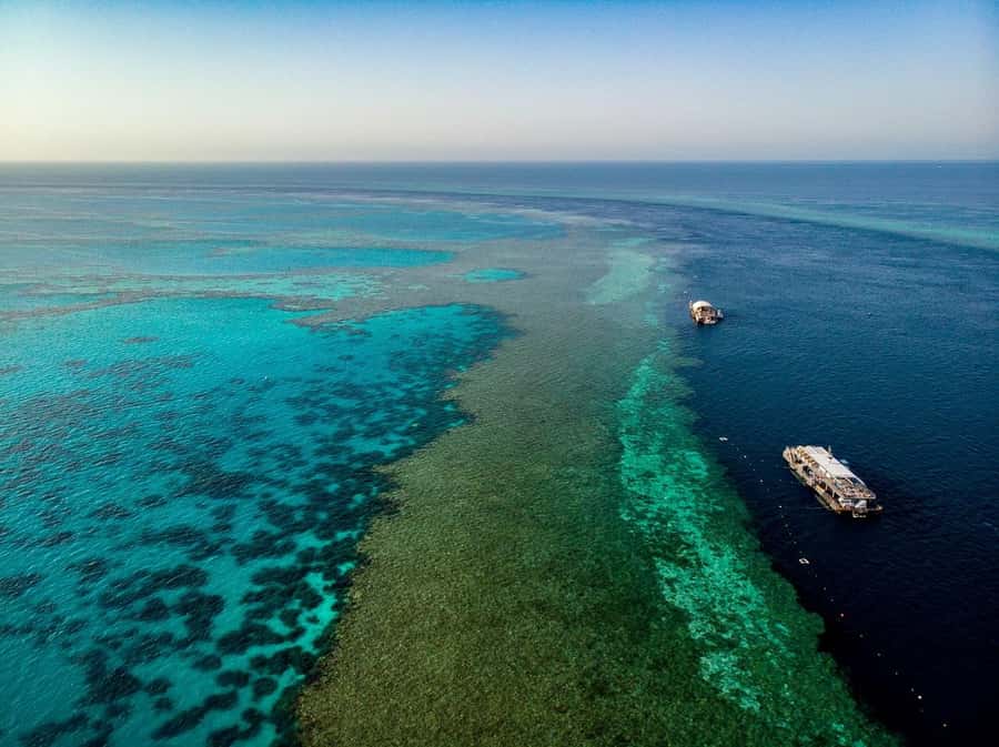 From Airlie Beach: Great Barrier Reef Adventure Cruise - Key points before you book