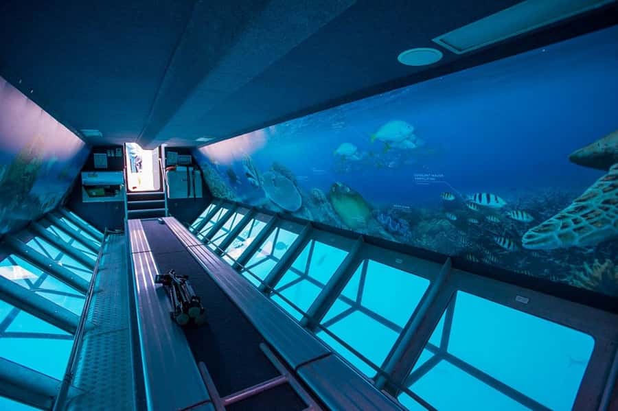 From Airlie Beach: Great Barrier Reef Adventure Cruise - Crew support and the overall pace