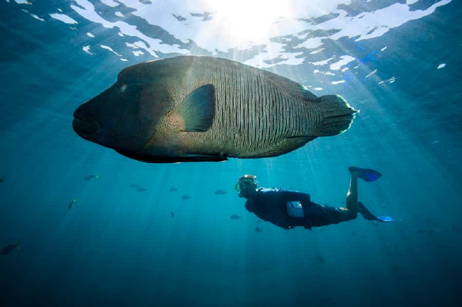 From Airlie Beach: Great Barrier Reef Adventure Cruise - What to pack and what to leave behind