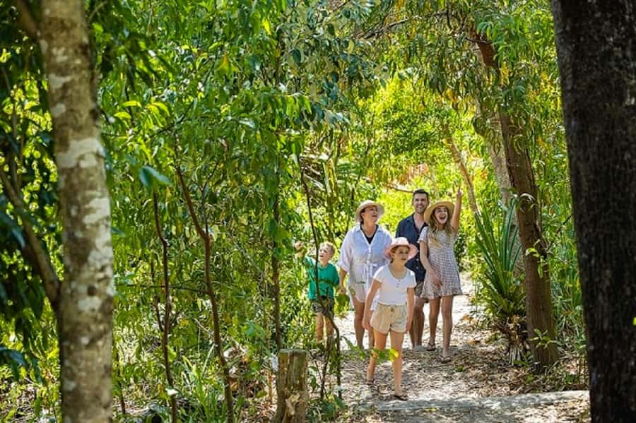 From Airlie: Whitsundays and Whitehaven Half-Day Cruise - Morning departure or afternoon sunset return?