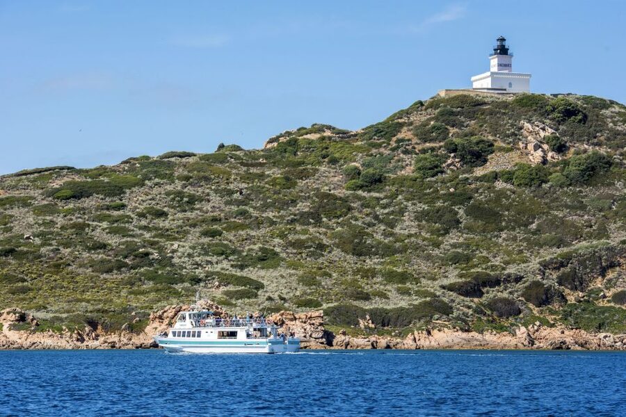 From Ajaccio/Porticcio:Ajaccio & Sanguinaires Gulf Boat Tour - Mezu Mare: One Hour on a Wild Island