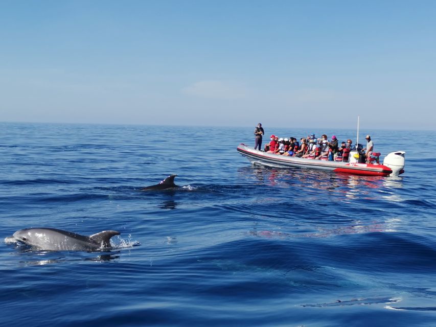 From Albufeira: Benagil Caves and Dolphins Guided Boat Tour - Entering the caves around Benagil
