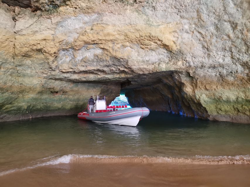 From Albufeira: Benagil Caves and Dolphins Guided Boat Tour - What the speedboat ride feels like