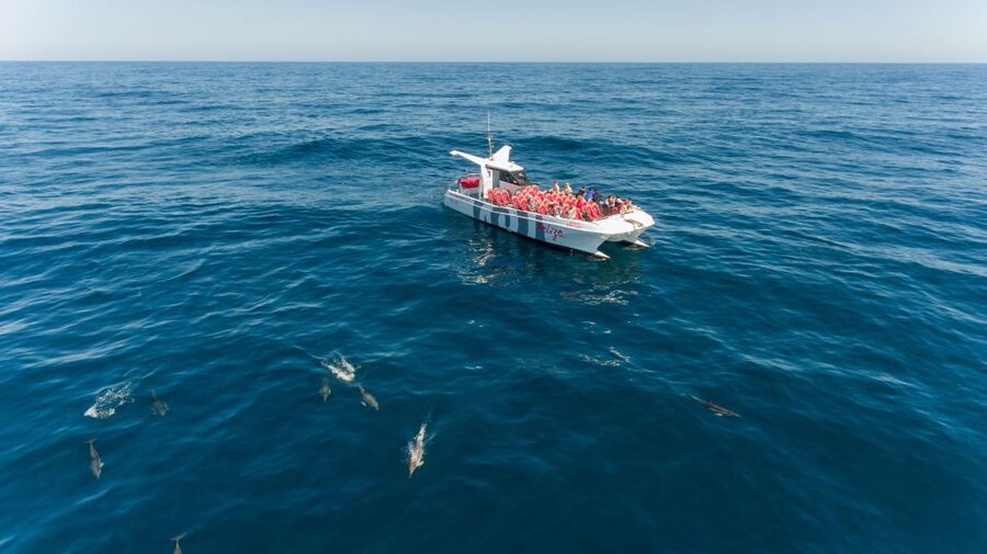 From Albufeira: Dolphins and Caves 2.5-Hour Boat Trip - Key points to know before you go