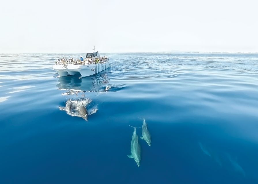 From Albufeira: Dolphins and Caves 2.5-Hour Boat Trip - Leaving Albufeira Marina on the Belize Terceiro