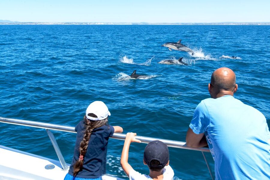 From Albufeira: Dolphins and Caves 2.5-Hour Boat Trip - Is $34 good value in Albufeira?