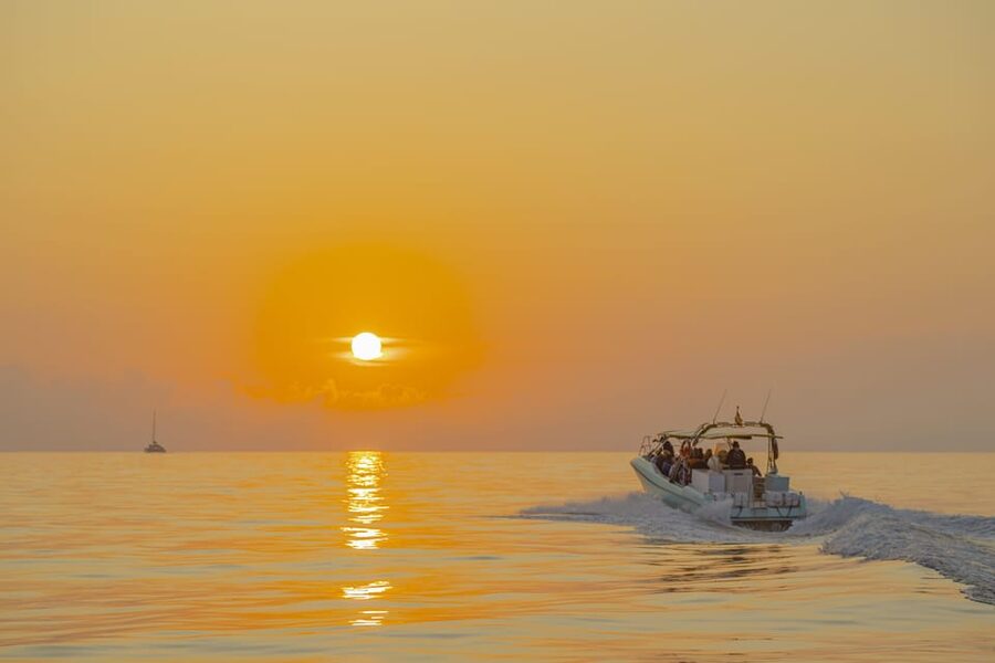From Alcudia: Sunrise Dolphin Watching Boat Tour - The boat size can shape your experience