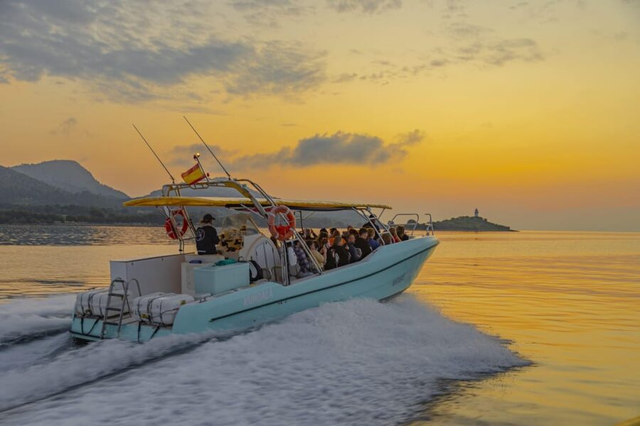 From Alcudia: Sunrise Dolphin Watching Boat Tour - Service that earns its price