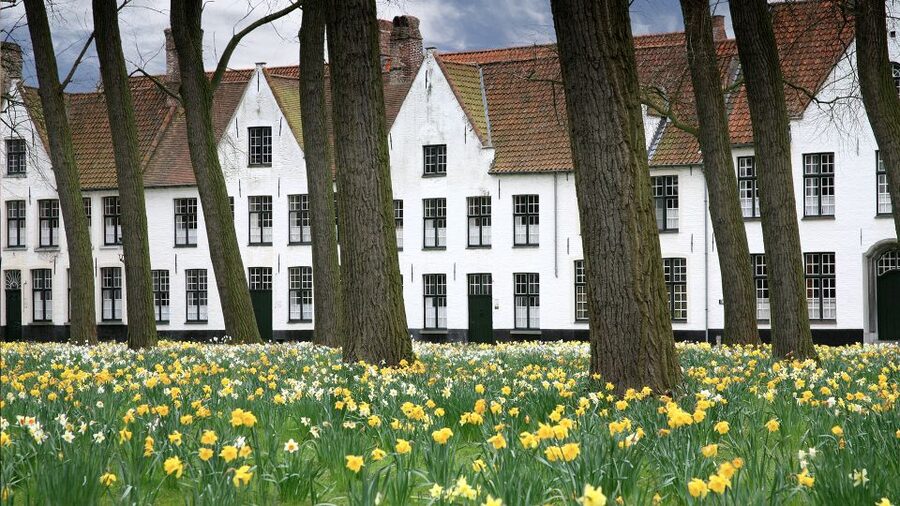 From Amsterdam: Bruges Day Trip in English with Boat Option - Grote Markt and three hours to make Bruges your own