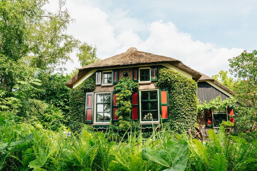 From Amsterdam: Giethoorn & Zaanse Schans Tour w/ Small Boat - What the guides add to the day