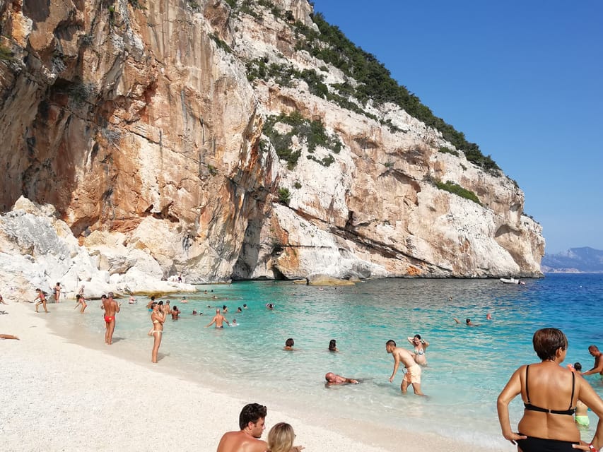 From Arbatax: Full-Day Guided Boat Tour of the Baunei Coast - Grotta del Fico and the monk seal connection