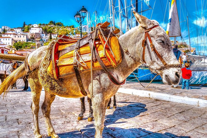 From Athens: Hydra, Poros, and Aegina Day Cruise with Lunch - Why this cruise works for a first look at the islands