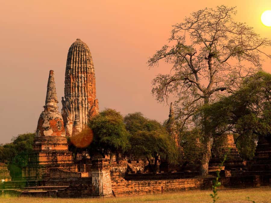 From Bangkok: Ayutthaya Temples and Boat Tour with Lunch - Wat Mahathat and the famous Buddha tree
