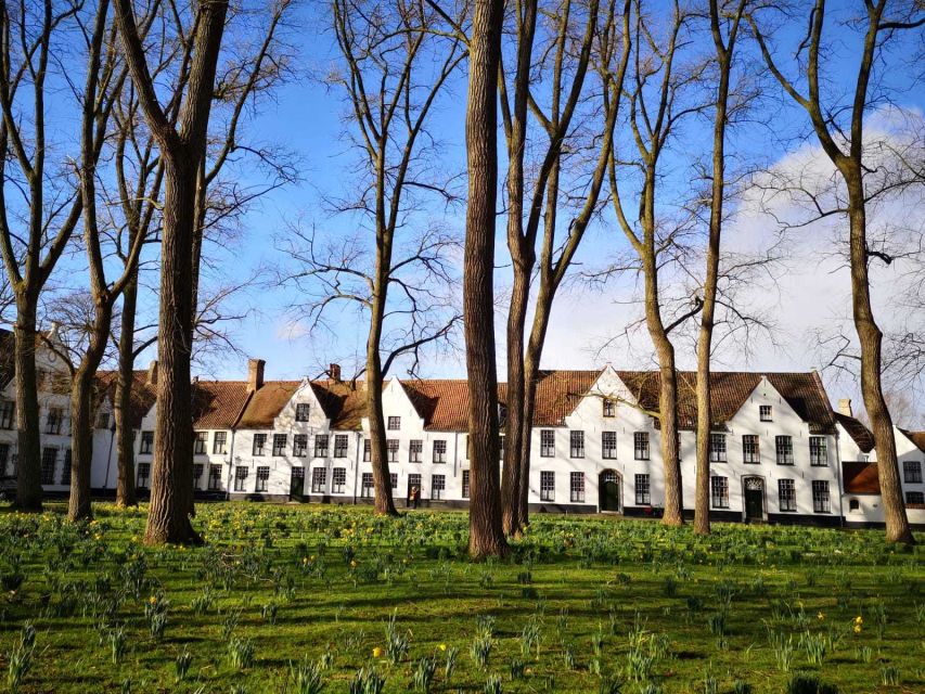 From Brussels: Bruges Day Trip with Boat Tour Option (ES) - Who Will Get the Most From This Day Trip?