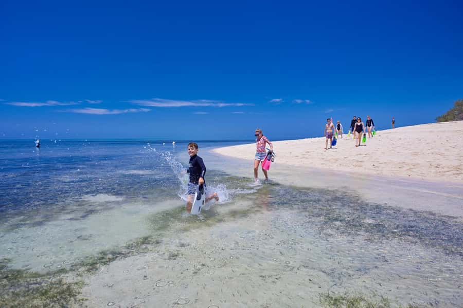 From Cairns: Full-Day Green Island Cruise - Should you book the Green Island cruise?