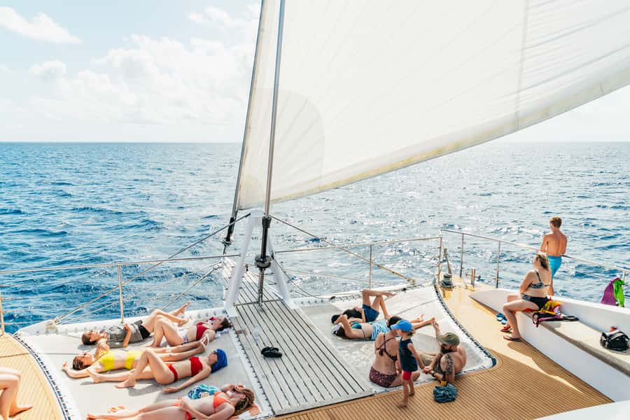 From Cairns: Great Barrier Reef Cruise by Premium Catamaran - What makes this Great Barrier Reef trip special