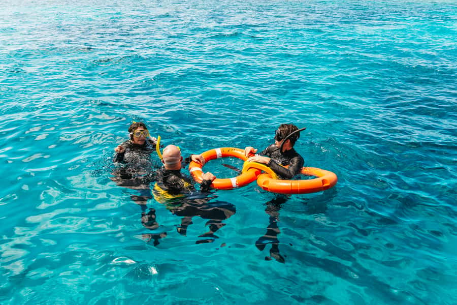 From Cairns: Great Barrier Reef Cruise by Premium Catamaran - Setting off from Cairns at 8 a.m.