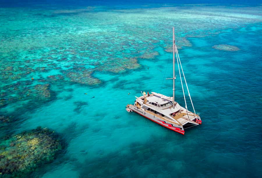 From Cairns: Great Barrier Reef Cruise by Premium Catamaran - The first water session, with help close by