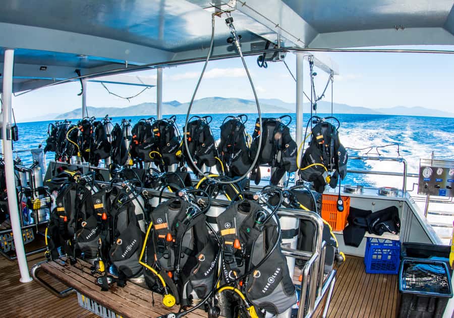 From Cairns: Great Barrier Reef Cruise by Premium Catamaran - Lunch between the two reef stops
