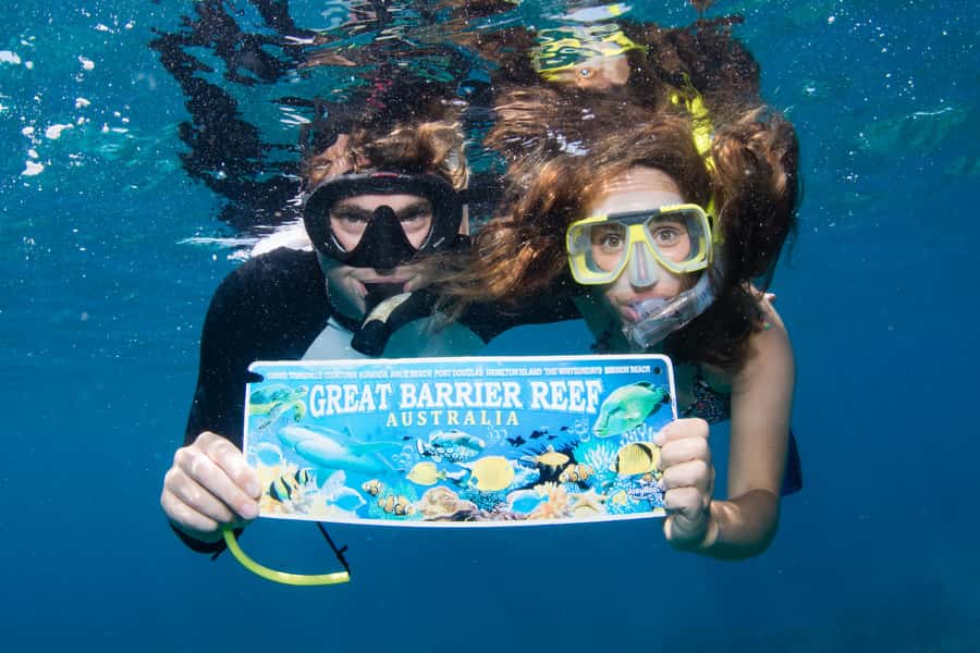 From Cairns: Great Barrier Reef Cruise by Premium Catamaran - The return trip adds more than a ride home