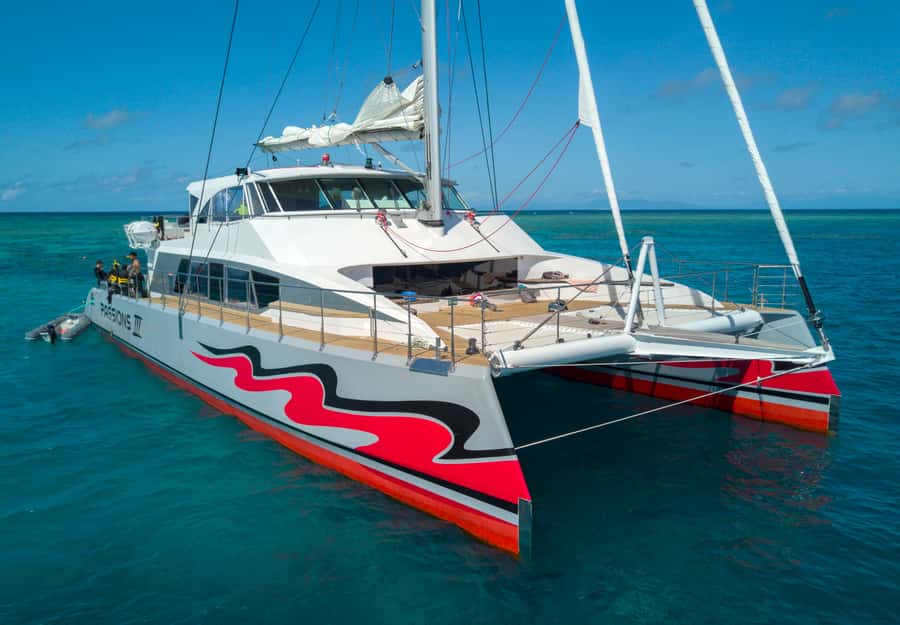 From Cairns: Great Barrier Reef Cruise by Premium Catamaran - Choosing between four outer reef areas