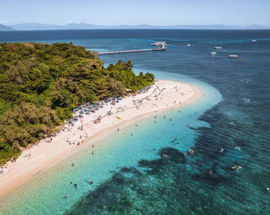 From Cairns: Half-Day Afternoon Cruise to Green Island - Key points to know before booking