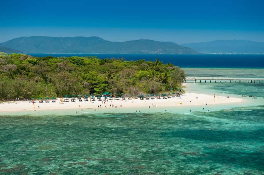 From Cairns: Half-Day Afternoon Cruise to Green Island - Choosing the glass-bottom boat