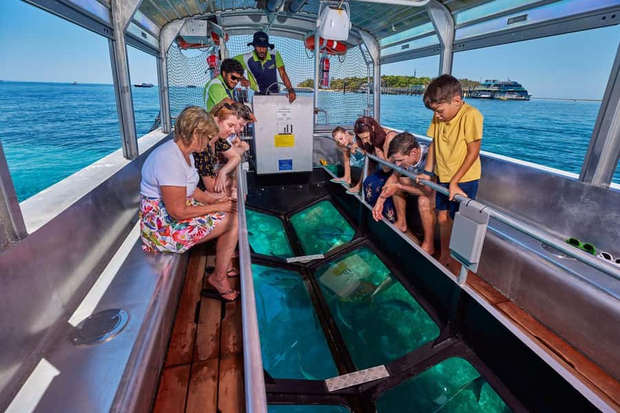 From Cairns: Half-Day Afternoon Cruise to Green Island - Who will enjoy this afternoon cruise?