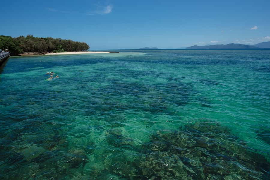 From Cairns: Half-Day Afternoon Cruise to Green Island - Practical details to pack