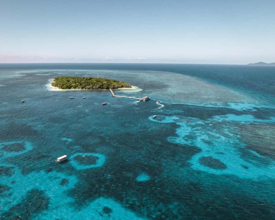 From Cairns: Half-Day Afternoon Cruise to Green Island - Two hours and 15 minutes on a small coral cay