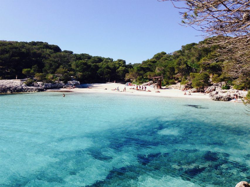 From Cala Galdana: 2-Hour Glass-Bottom Boat Trip - Starting at Cala Galdana
