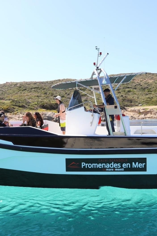 From Calvi: 2-Hour Sunset Cruise to Revellata Peninsula - Key points to know before you sail