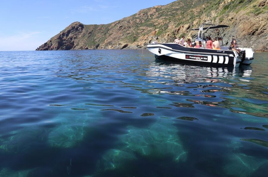 From Calvi: 2-Hour Sunset Cruise to Revellata Peninsula - Leaving Calvi beneath the citadel