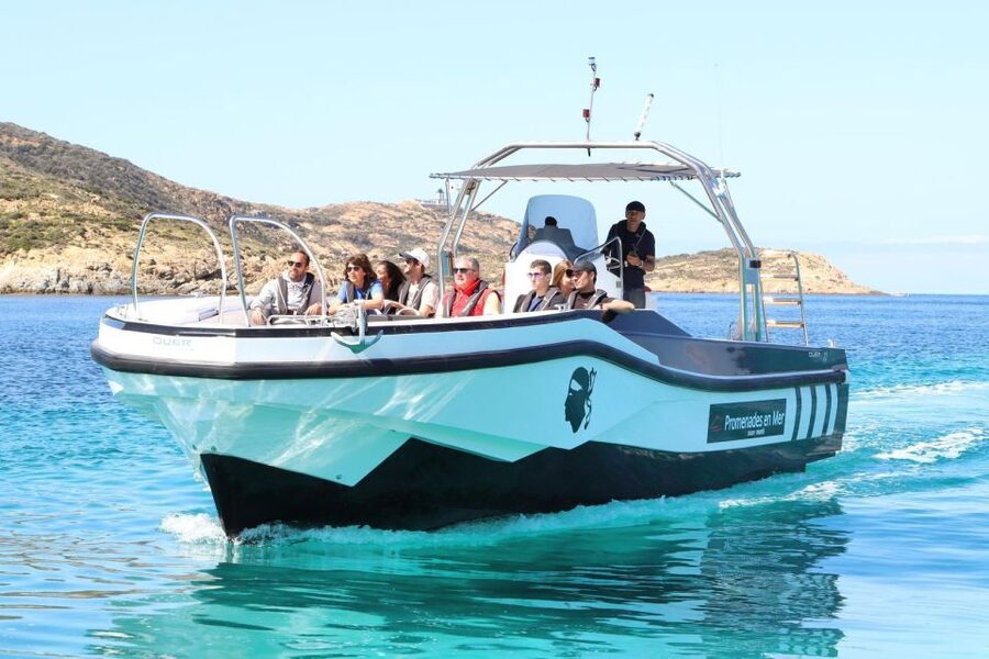 From Calvi: 2-Hour Sunset Cruise to Revellata Peninsula - How much value do you get for $59?
