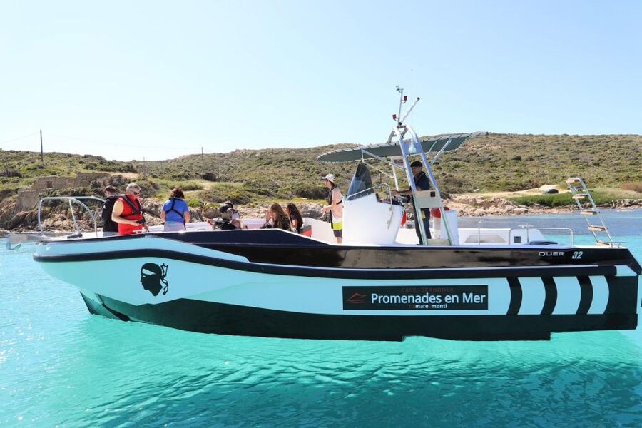 From Calvi: 2-Hour Sunset Cruise to Revellata Peninsula - Sea conditions and the small-group trade-off