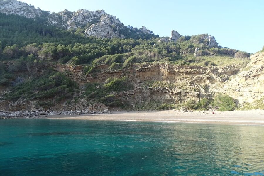 From Can Picafort: Dolphin Watching and Cave Boat Trip - The north coast from the water